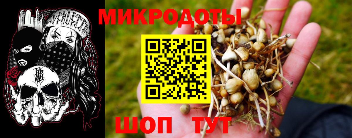 Котлас  Галлюциногенные грибы Cubensis  Вход с VPN 
