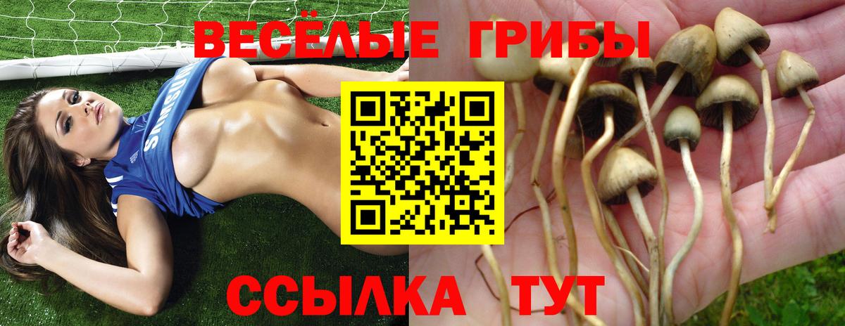 ГАШ Котлас